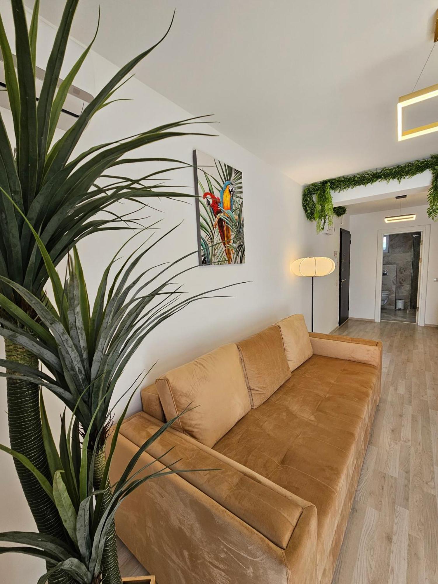 Bali Del Mar Apartments Năvodari Exteriér fotografie